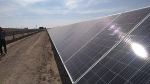 WhatsApp Image 2019-08-15 at 17.17.58(1)